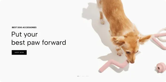 Ecomus preivew slider