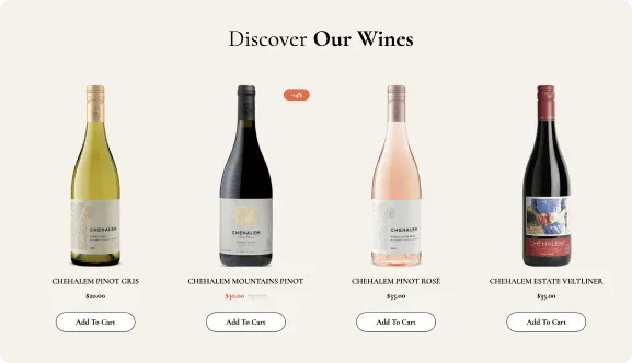 Ecomus preivew slider