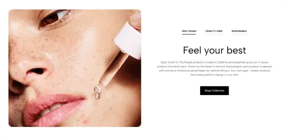 Ecomus preivew slider